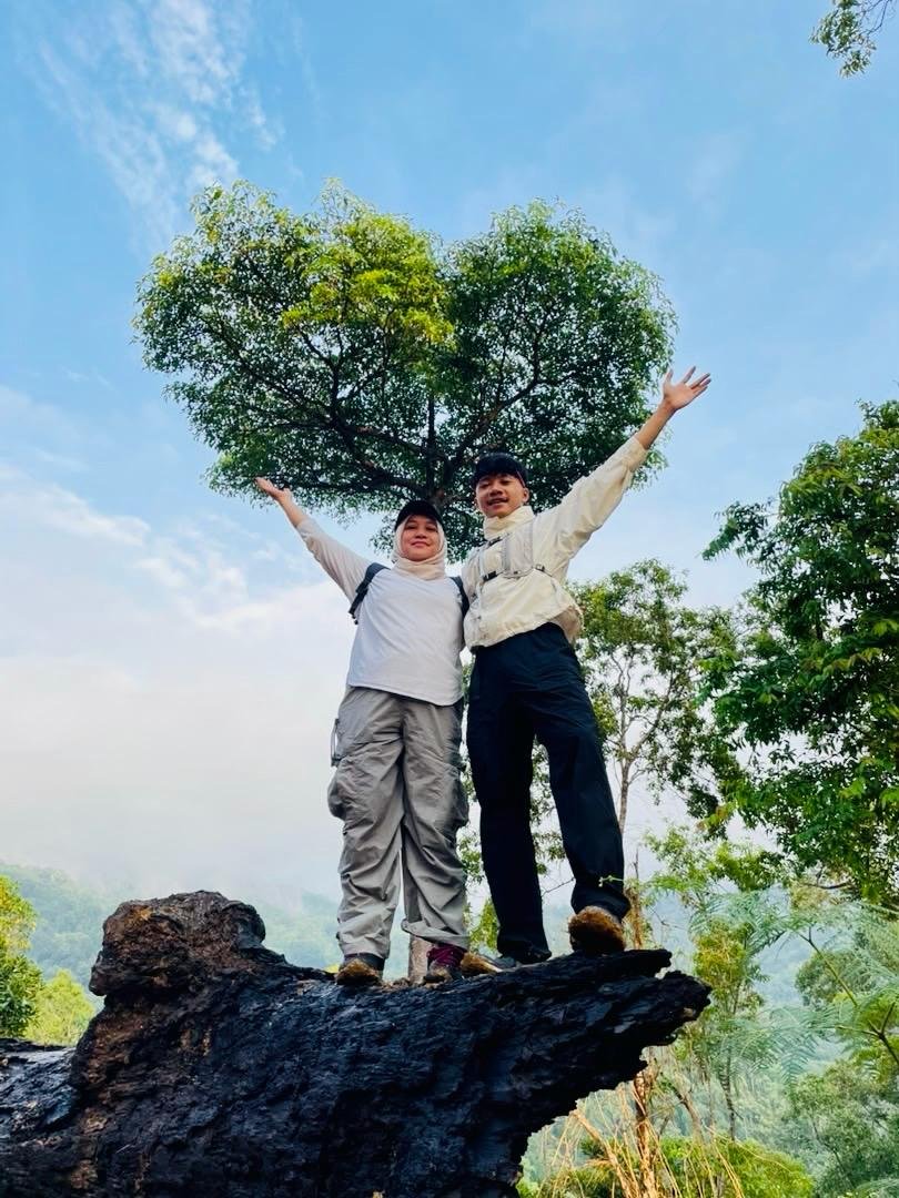 Tenom Travel Guide